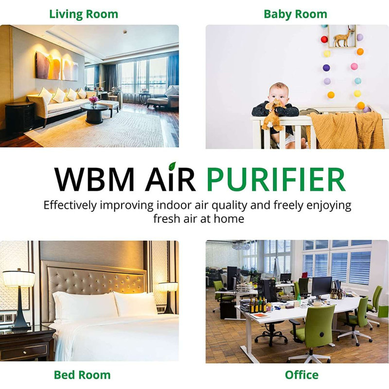 WBM Smart Air filter Purifier for Allergies and Pets, Dust, Mould, and Pollen Replacement Filter