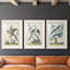 Cadre Pastel Birds IV Premium - prêt à accrocher-1447607541-1447607549