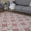 Carina Washable Rugs Trellis Design in Pink-1718309949