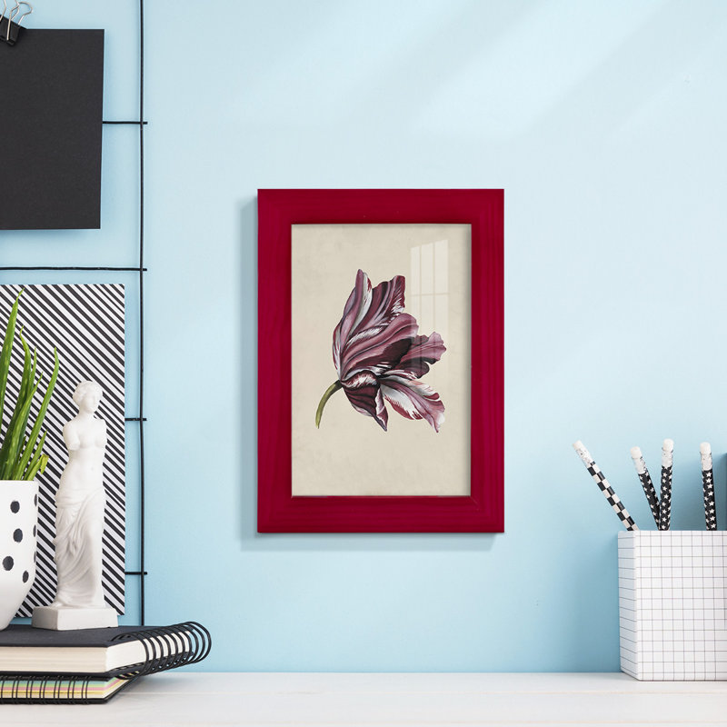 Antique Tulip Study III - Impression encadrée avec verre, Rouge, H 6 po x l 4 po x P 1 po