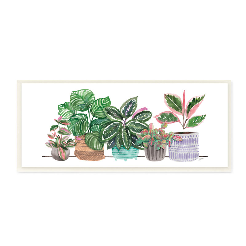 «Pots Plants Herbal Leaves», H 7 po x l 17 po x P 0,5 po