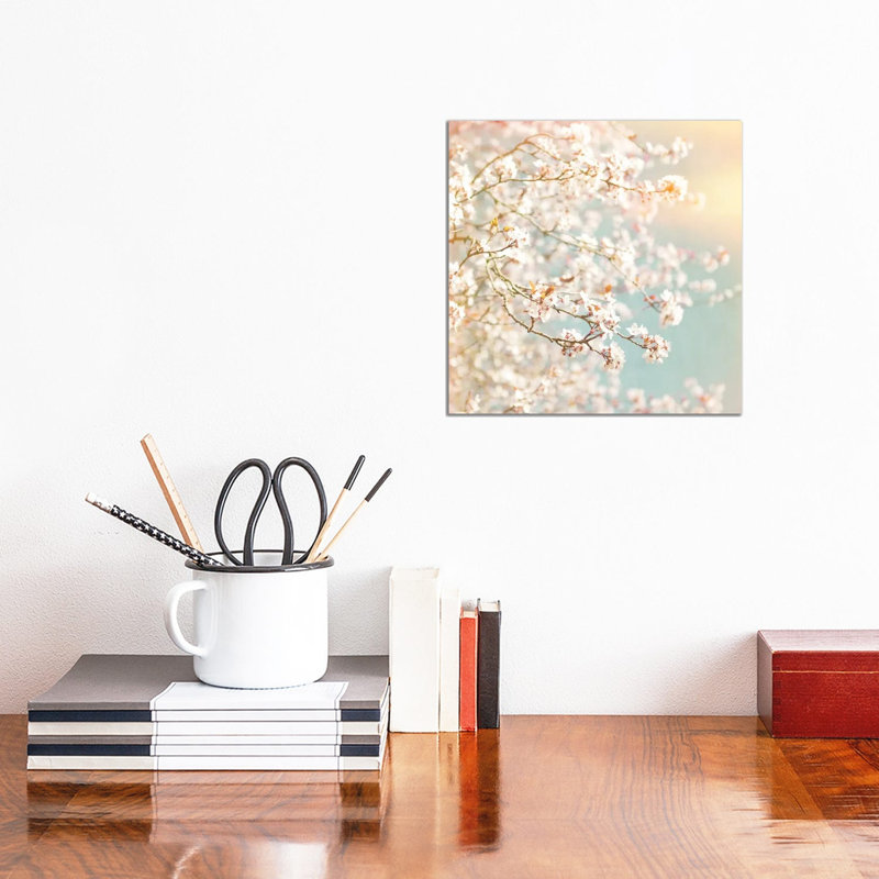 Sunlit Blossom - Wrapped Canvas Print, 30.48 cm H x 30.48 cm W