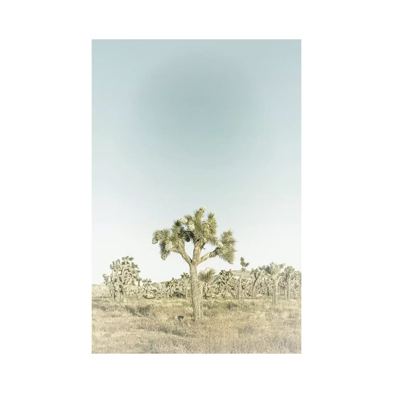 Parc national de Joshua Tree | Vintage par Melanie Viola - Estampe numérique sur toile tendue avec châssis