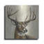 "Bronze Deer" par Silvia Vassileva sur métal-183872835