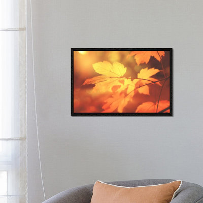 Autumn Leaves Have Arrived by Philippe Sainte-Laudy - Print on Canvas