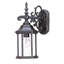 Lanterne murale d'extérieur H 15 po Pruitt-26243323-26243325