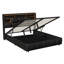 PU Upholstered Ottoman Storage Bed with Headboard and LED, Large Capacity Hydraulic Lift Up Storage Beds with Charging Station, Modern Platform Bed Frame for Bedroom(4Ft6/5Ft,Black)-135115652