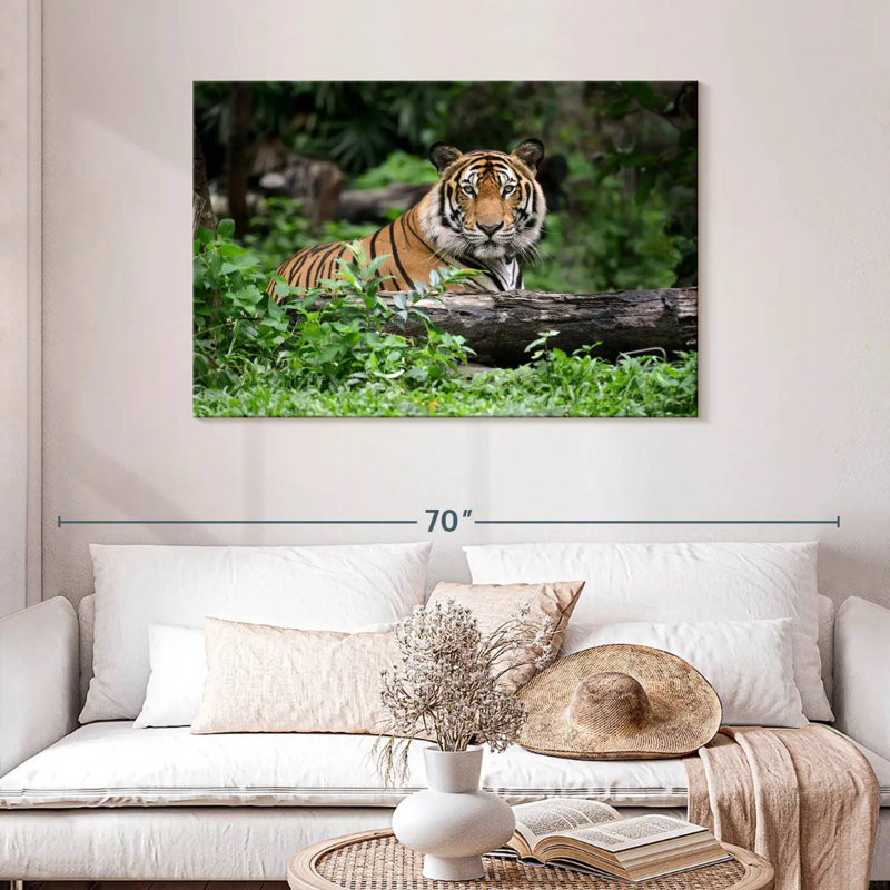 Brampt Indian Bengal Tiger, 30" H x 45" W