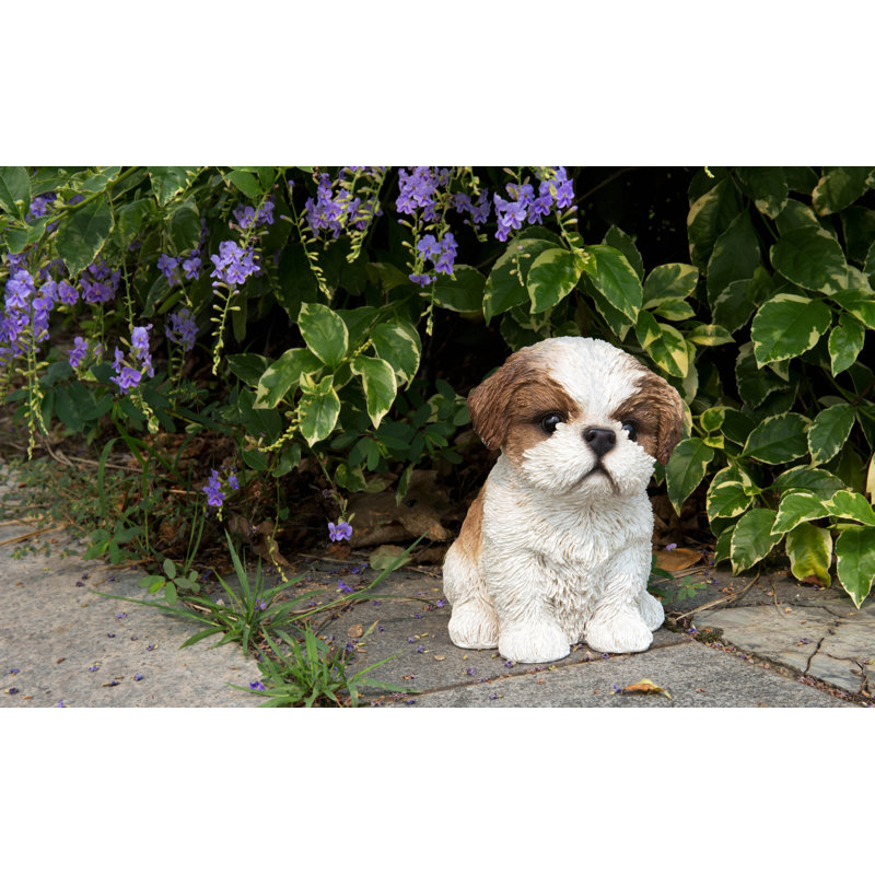 Statue de chiot Shih Tzu assis, Brun / Blanc