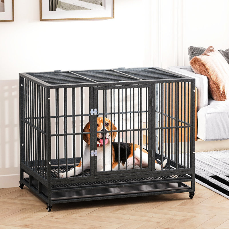 Cage pour chien 43 po en métal gris avec roues verrouillables, porte double, plateau amovible