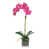 Pink selected
