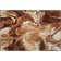 Premium Machine Washable Prisco Paprika Rug