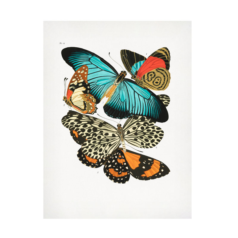 «Butterflies 1 on Canvas» par Pictufy, reproduction, H 47 po x l 35 po x P 2 po