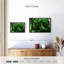 Palmier forêt-2126854794-2126854790