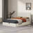 Daizia Lift Up Storage Platform Bed with Wingback Headboard-173575425-173575428