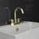 Delphi Centerset 2-handle Bathroom Faucet with Drain Assembly
