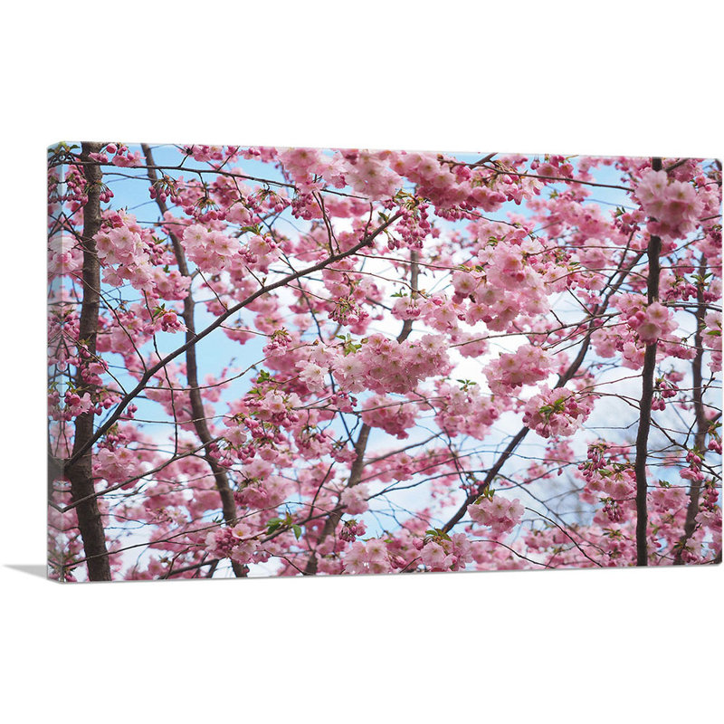 «Spring Cherry Blossom Tree», reproduction de photo sur toile tendue, H 18 po x l 26 po x P 1,5 po