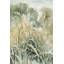 Forest Plant II Painting by Sara Brown-26774686-26774691