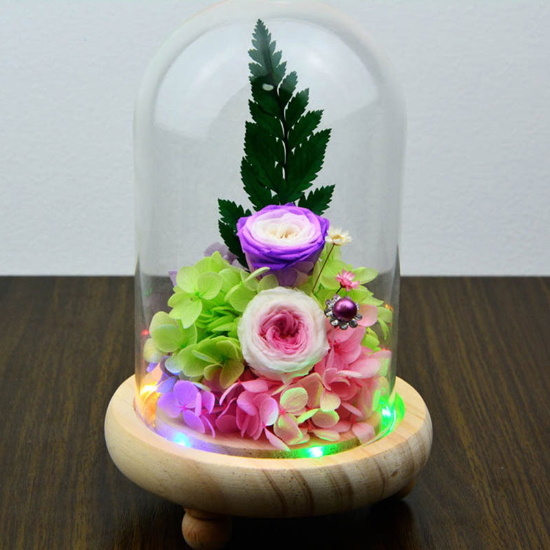 Penitas Cloche Or Water Globe
