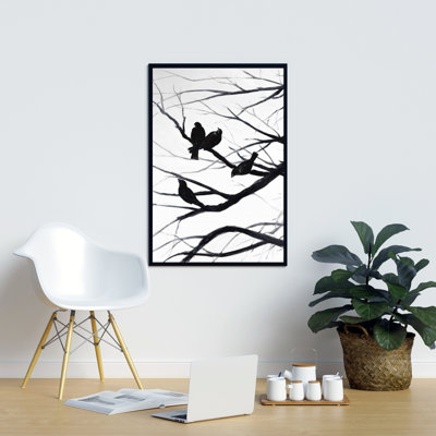 "Silhouette d'oiseaux et de branches"