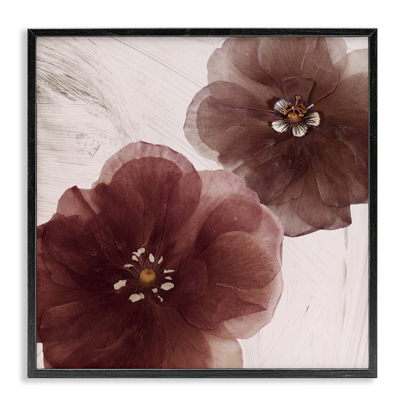 Paire de fleurs de beurre de cacao, estampe numérique, design par Annabelle Hall, H 12 po x l 12 po