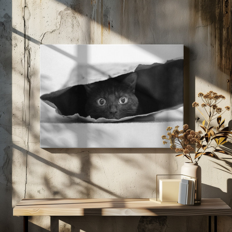 Wrapped Canvas Print, 60.96 cm H x 91.44 cm W