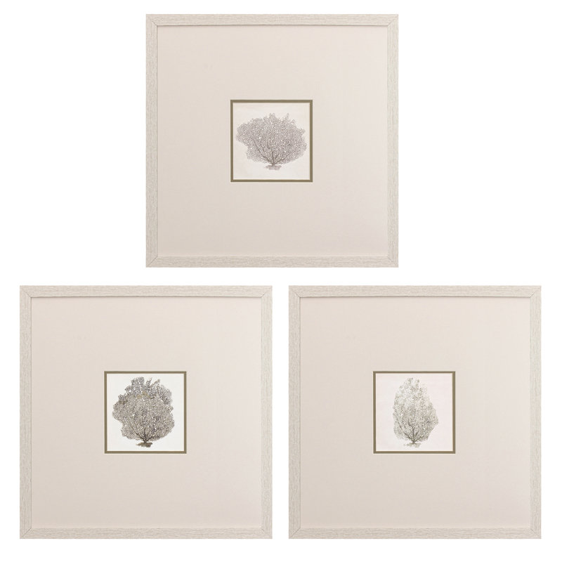 Bertjan Corals A, impression encadrée sur papier, 3 pièces