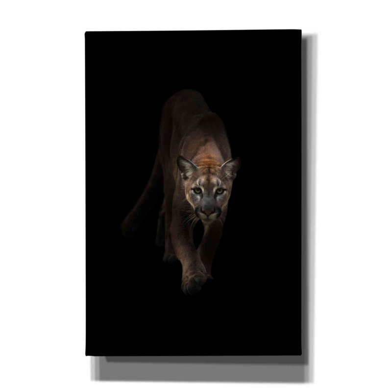 Lion par Incado - reproduction sur toile tendue, L 12 po x H 18 po
