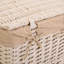 Wicker Laundry Set