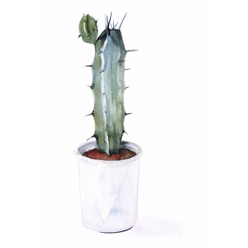 Sharp Succulents I by Jennifer Paxton Parker - Painting, 76cm H x 51cm W, Black Floater Framed