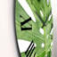 Feuille verte de Monstera vert - détail de botanique - horloge murale-60327596