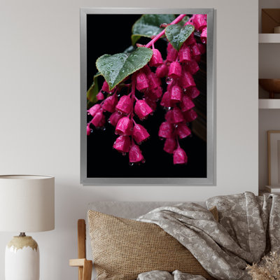 Colibri rose fuchsia I - art mural fuchsia