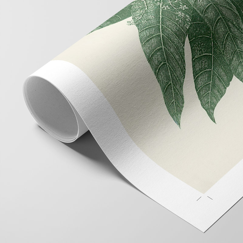 Buchoz Tropicals IV - Impression sur toile seulement - SANS CADRE, H 18 po x l 12 po