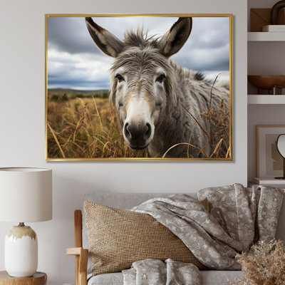 " Gray Donkey Gentle Companion "