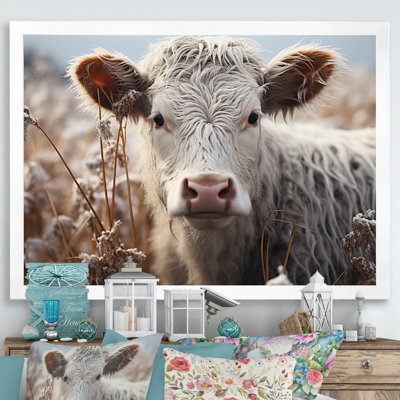 " Cow Protrait Photography "