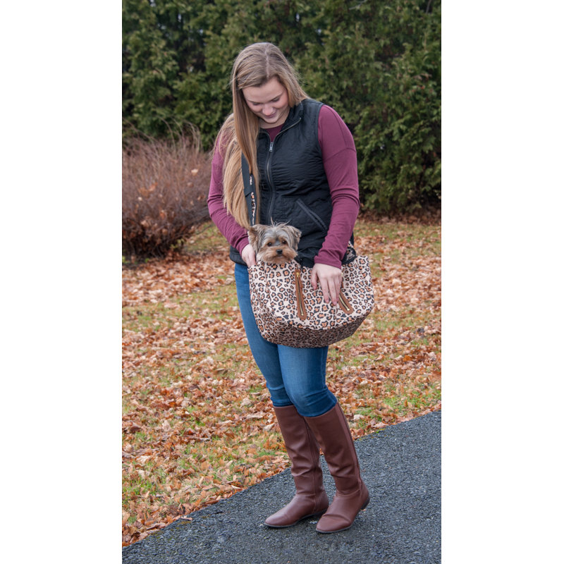 Pet Carrier