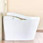 JuteJasper 5808556554FDAAC 1 GPF Round Comfort Height Chair Height Toilet