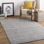 Area Rug in Gray-658301314