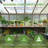 Wooden Commodity Shelf Multiple Sizes Suitable For Wooden Greenhouse, Wood Greenhouse Workstation-114219427