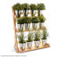Ostrom Wood Pot Planter