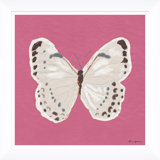 White Monarch In Pink Giclee Print by Dana Gibson