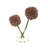 Pom-Pom Arrangement In A Glass Vase B21D82AADB1B42379DC151F7089A2D55