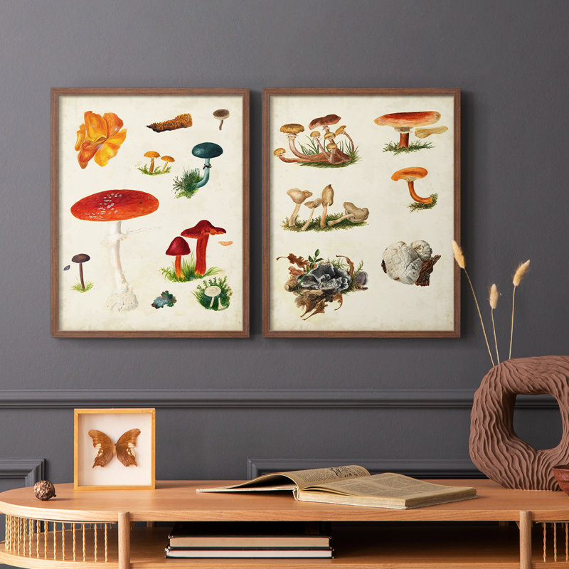 Reproduction encadrée de qualité supérieure de la variété champignon vii - prêt à accrocher - pas de clous requis - pas de clous requis
