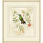 Brilliant Hummingbird Collection 8 Framed Graphic Art