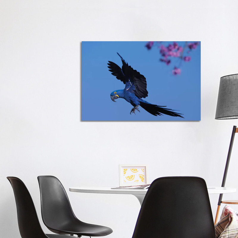 Hyacinth Macaw Flying Pink Flowers 1 Piece Wrapped Canvas Wall Art, 101.6 cm H x 66.04 cm W x 3.175 cm D