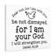 Will Strengthen You 1 Piece Wrapped Canvas Wall Art-1462324067