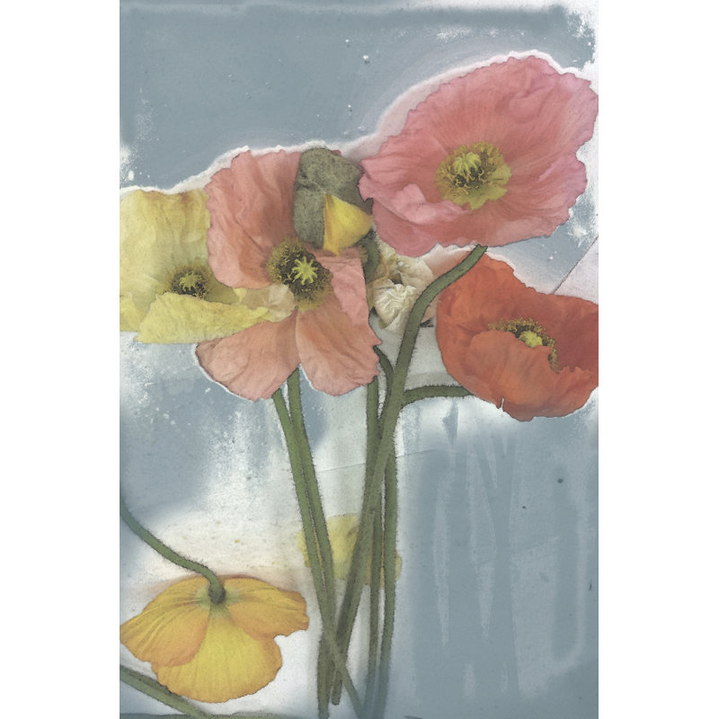 Poppy Spray II by Jennifer Goldberger - Wrapped Canvas Painting, 46cm H x 30cm W x 3.8cm D