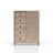 5 Drawer Door Chest