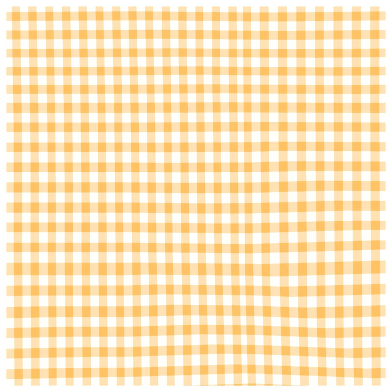 Orange White Gingham Comforter, Twin Extra Long