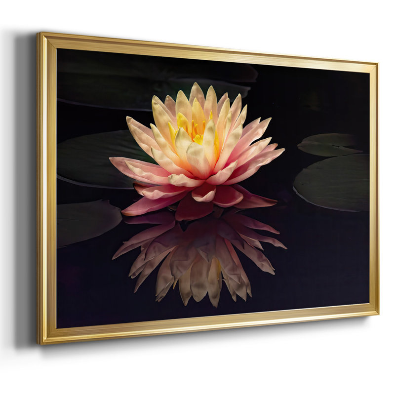 Photographie, étude, nénuphar encadré sur toile, Or, H 14 po x l 20 po x P 1,5 po
